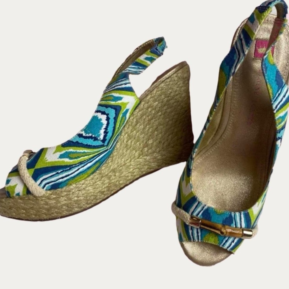 Elaine Turner Harper Espadrille Wedge Sandals Green Blue Size 8.5